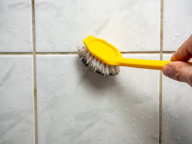 Best Mold Damage Repair  in Hermitage, PA
