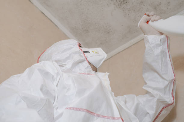 Mold Removal and Inspection in Hermitage, PA